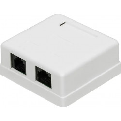 Розетка накладная Lanmaster TWT-SM2-4512-WH белый
