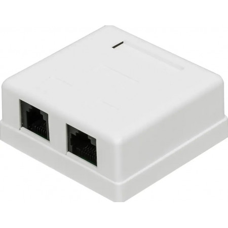 Розетка накладная Lanmaster TWT-SM2-4512-WH белый