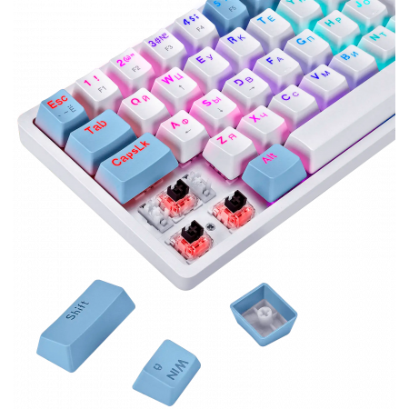 Клавиатура проводная Defender Amox GK-585 (45585) белый