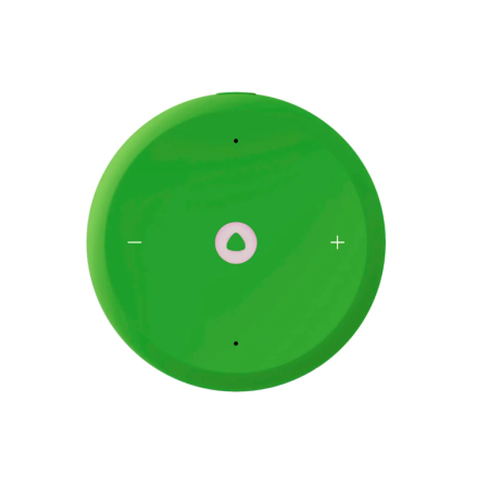 Умная колонка Яндекс Станция Лайт 2 (YNDX-00026GRN) Зеленый