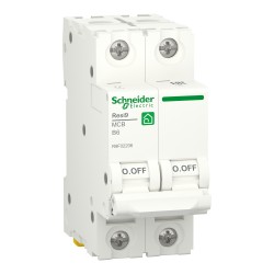 Автоматический выключатель Schneider Electric Resi9 2P B6 (R9F02206)