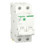 Автоматический выключатель Schneider Electric R9F02206 6 A белый