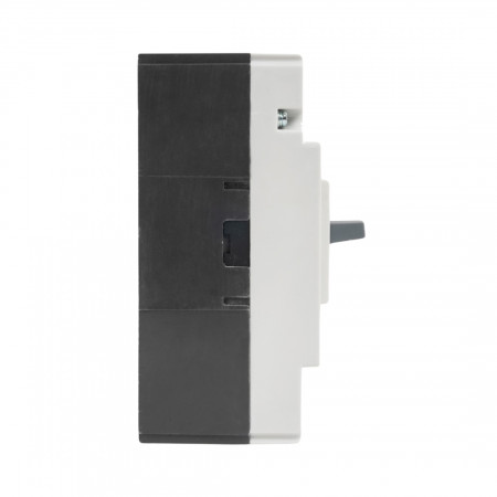 Автоматический выключатель iPower ВА55-100 (AM1-100L/125L) 100 A белый