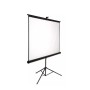 85" Экран для проектора Deluxe DLS-T153x (60"х60") (DLS-T153x) белый