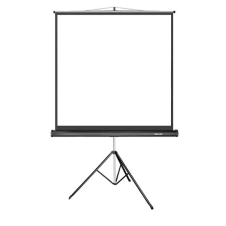 85" Экран для проектора Deluxe DLS-T153x (60"х60") (DLS-T153x) белый