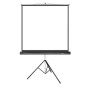 85" Экран для проектора Deluxe DLS-T153x (60"х60") (DLS-T153x) белый