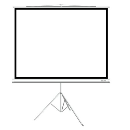 75" Экран для проектора Deluxe DLS-T153x116W белый