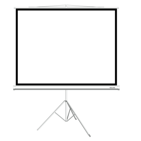 75" Экран для проектора Deluxe DLS-T153x116W белый