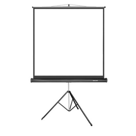 136" Экран для проектора Deluxe DLS-T244W белый