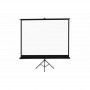 150" Экран для проектора PROscreen TLZ 3150 белый