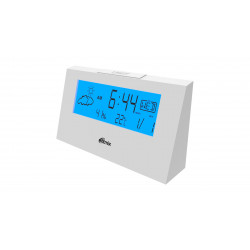 Метеостанция Ritmix CAT-044 (80001016) белый