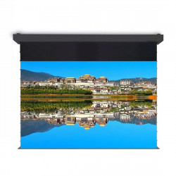 120" Экран для проектора Deluxe FJ2-TT120H 4K черный