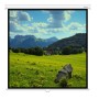 170" Экран для проектора Deluxe DLS-M305W белый