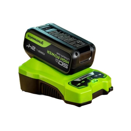 Аккумулятор Greenworks 2957807 черный