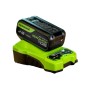 Аккумулятор Greenworks 2957807 черный