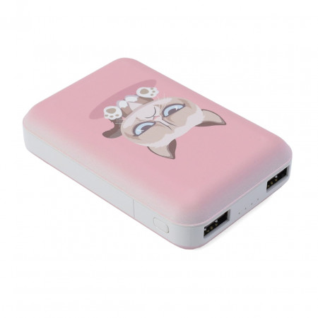 Портативные аккумулятор Ritmix RPB-10007 (80001361) розовый