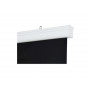 100" Экран для проектора PROscreen MLE3100 белый