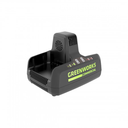 Зарядное устройство Greenworks 2939007 черное