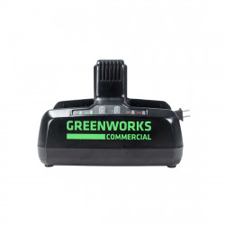 Зарядное устройство Greenworks 2939007 черное
