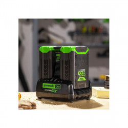 Зарядное устройство Greenworks 2954407 черное