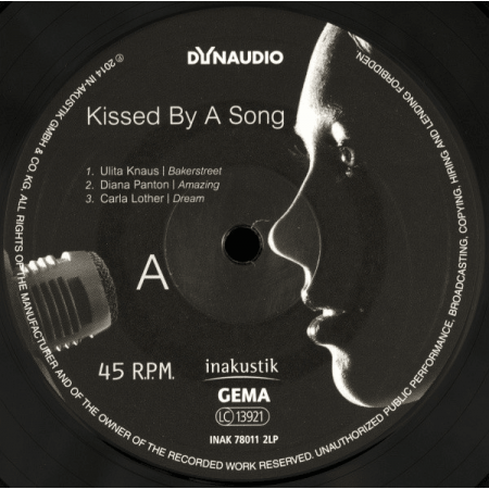 Пластинка LP Dynaudio-Kissed By A Song (2 LP) черный