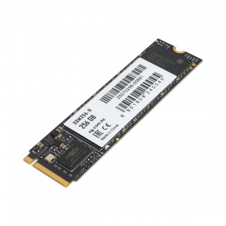 256 ГБ SSD диск XG XGM256-R (XGM256-R) черный