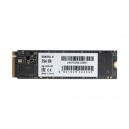 256 ГБ SSD диск XG XGM256-R (XGM256-R) черный