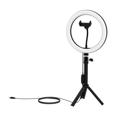 Кольцевая лампа Ritmix RRL-262 (80001498)