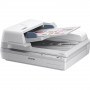 Сканер Epson WorkForce DS-70000N (B11B204331BT) белый