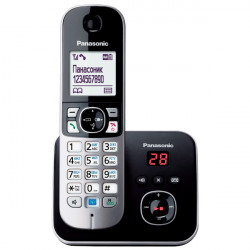 Радиотелефон PANASONIC KX-TG6821 (RUB) черный