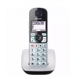 Радиотелефон PANASONIC KX-TGE510 (RUS) серебристый