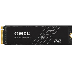 1 TB SSD диск GeIL Zenith P4L (P4LFD23C1TBD)