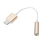 Кабель USB Type-C - 3.5mm Apacer DC150 (APDC150С-1) 0.10 м золотой