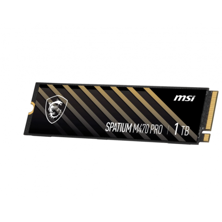 1000 ГБ SSD диск MSI SPATIUM M470 PRO (S78-440L0J0-P83) черный