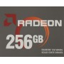 256 ГБ SSD диск AMD Radeon R3 (R3SL0256G2) черный