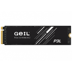 512 ГБ SSD диск GEIL P3L (P3LFD16I512D) черный