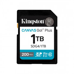1024 ГБ Карта памяти Kingston Canvas Go! Plus SDXC (SDG4/1TB) черный