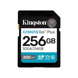 256 ГБ Карта памяти Kingston Canvas Go! Plus SDXC (SDG4/256GB) черный