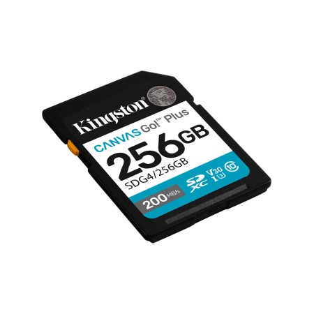 256 ГБ Карта памяти Kingston Canvas Go! Plus SDXC (SDG4/256GB) черный