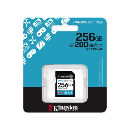 256 ГБ Карта памяти Kingston Canvas Go! Plus SDXC (SDG4/256GB) черный