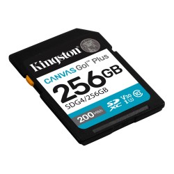 256 ГБ Карта памяти Kingston Canvas Go! Plus SDXC (SDG4/256GB) черный
