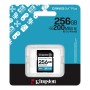 256 ГБ Карта памяти Kingston Canvas Go! Plus SDXC (SDG4/256GB) черный