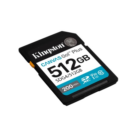 512 ГБ Карта памяти Kingston Canvas Go! Plus SDXC (SDG4/512GB) черный
