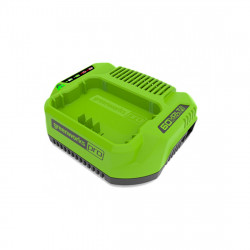 Зарядное устройство Greenworks 2932007 зеленый
