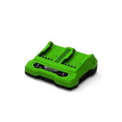 Зарядное устройство Greenworks G24X2UC2 (2931907RU) черный