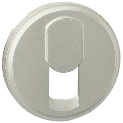 Лицевая панель Legrand 068537 титан