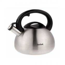 Чайник для плиты Tefal C7921024 (2100093085) стальной