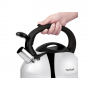 Чайник для плиты Tefal C7922024 (2100093086) стальной