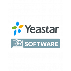 ПО для сетевого оборудования Yeastar P560 Standard License (560 SP)