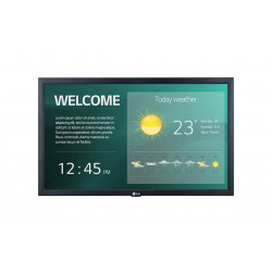 Дисплей LG 22SM3G-B синий